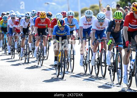 25th septembre 2022 ; Wollongong, Illawarra, pays de Galles du Sud, Australie : Championnats du monde de cyclisme sur route UCI, coureurs dans la course de peloton sur le circuit de la ville pendant la course de route Elite Mens Banque D'Images