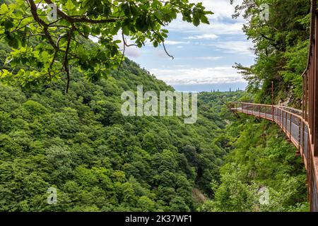 Okatse Canyon en Géorgie avec sentier piétonnier suspendu en métal au-dessus du précipice profond, végétation luxuriante et forêts, pas de gens. Banque D'Images