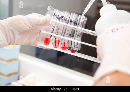 Scientifique préparant des échantillons de moelle osseuse pour l'analyse cytométrique de flux en laboratoire. Banque D'Images