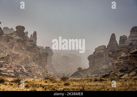 Chutes de neige au-dessus des formations rocheuses au début du Cyclone Canyon dans le parc national de Canyonlands Banque D'Images