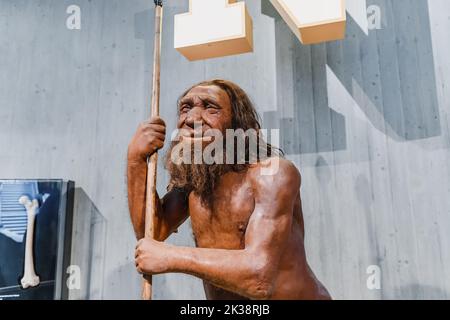 22 juillet 2022, musée de Neanderthal, Allemagne : figurine en cire détaillée du cavéman préhistorique de Neanderthal avec lance dans le musée. Anthropologie humaine de Sapiens Banque D'Images