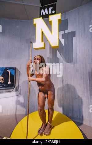 22 juillet 2022, musée de Neanderthal, Allemagne : figurine en cire détaillée du cavéman préhistorique de Neanderthal avec lance dans le musée. Anthropologie humaine de Sapiens Banque D'Images