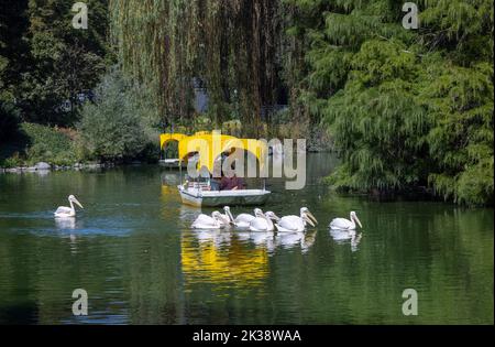 Le parc municipal de Luisenpark à Mannheim, Bade-Wurtemberg, Allemagne Banque D'Images