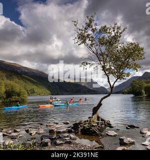 Arbre solitaire avec canoës, Llanberis, Snowdonia, pays de Galles du Nord Banque D'Images