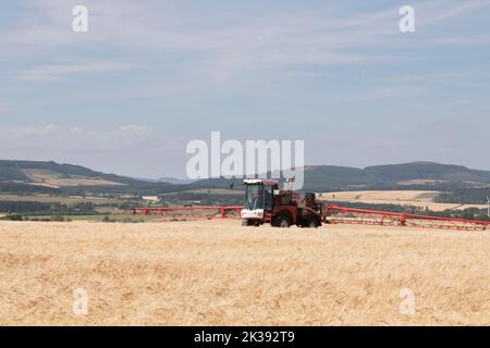 Pulvérisateur de récolte utilisé dans un champ d'orge montrant la rampe de pulvérisation étendue et avec une vue sur les terres arables Banque D'Images