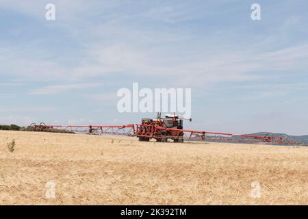 Pulvérisation d'une récolte dans un champ de mûrissement du grain lors d'un après-midi ensoleillé d'été avec un pulvérisateur Bateman Banque D'Images