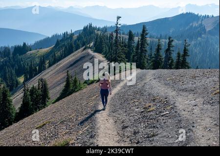 Une jeune femme randonnée sur le sentier Hurricane Ridge dans le parc national olympique, Washington, l'après-midi ensoleillé de l'automne. Banque D'Images