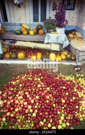 Comté d'Alba, Roumanie, environ 1999. Fruits et autres cultures récoltés en automne, temporairement placés à l'extérieur d'une ferme. Chat dormant dans la cour. Banque D'Images