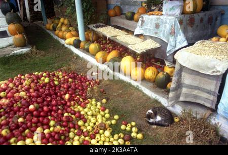 Comté d'Alba, Roumanie, environ 1999. Fruits et autres cultures récoltés en automne, temporairement placés à l'extérieur d'une ferme. Chat dormant dans la cour. Banque D'Images