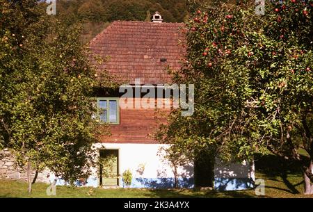 Poșaga, Comté d'Alba, Roumanie, environ 1999. Belle maison traditionnelle en bois avec pommiers dans la cour. Banque D'Images