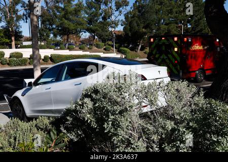 Westlake Village, Californie, États-Unis. 10th novembre 2020. Un véhicule électrique Tesla Inc. Modèle 3 repose contre un poteau après un accident dans un seul véhicule impliqué collision pour des raisons non confirmées à Westlake Village, Californie, le mardi 10 novembre 2020. (Image de crédit : © Patrick Fallon/ZUMA Press Wire) Banque D'Images