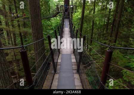 Ponts suspendus à l'intérieur du parc du pont suspendu Capilano, Vancouver (Colombie-Britannique), Canada. Banque D'Images