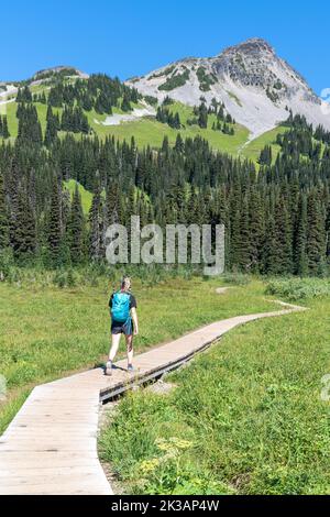 Femme marchant le long d'un sentier dans le parc provincial Garibaldi pendant une belle journée d'été avec Black Tusk Mountain en arrière-plan. Banque D'Images