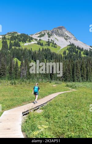 Femme marchant le long d'un sentier dans le parc provincial Garibaldi pendant une belle journée d'été avec Black Tusk Mountain en arrière-plan. Banque D'Images