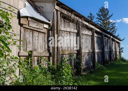 Arrière-plan abstrait de texture d'un vieux mur rustique en bois non peint de ferme hangar, montrant l'altération naturelle de l'âge Banque D'Images