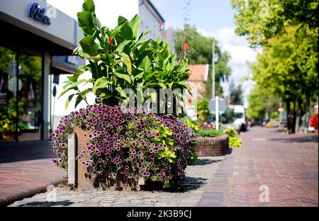 Papenburg, Allemagne. 30th août 2022. Une boîte à fleurs avec diverses plantes se trouve dans une baie de stationnement le long du canal principal dans le centre-ville. Credit: Hauke-Christian Dittrich/dpa/Alay Live News Banque D'Images