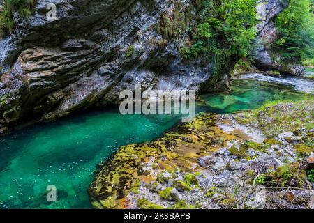 Paysage pittoresque avec la rivière Radovna qui traverse la gorge de Vintgar dans le parc national de Triglav en Slovénie. Banque D'Images