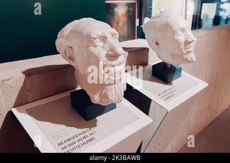 22 juillet 2022, Musée Néandertal, Allemagne : reconstruction du crâne et du visage d'un Néandertal et d'un caveman préhistorique dans le musée. Anthropologie Banque D'Images