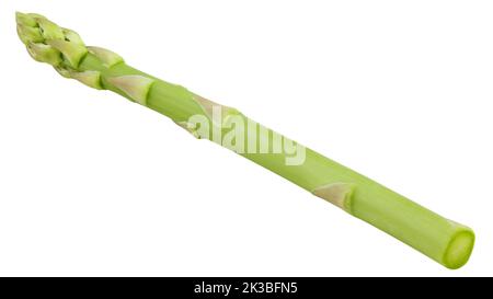 asperges isolées sur fond blanc, masque, profondeur de champ totale Banque D'Images
