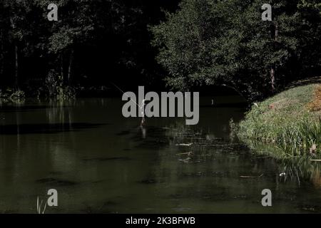 Homme pêche dans une rivière. Silhouette de pêcheur Banque D'Images