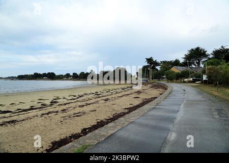 Route humide près de Plage de Rudevent en direction de Rudevent, Ile d'Arz, Golfe du Morbihan, Morbihan, Bretagne, France Banque D'Images