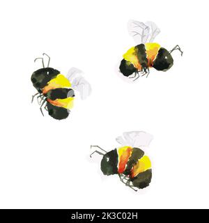 Peinture aquarelle de trois mignons bourdons sur fond blanc, illustration vectorielle Illustration de Vecteur
