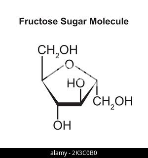 Illustration chimique de la molécule de sucre de fructose. Illustration vectorielle. Illustration de Vecteur