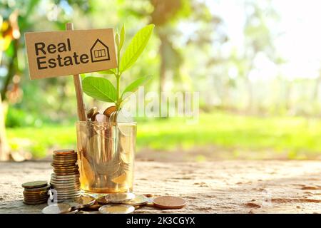 Investissement sur le concept immobilier. Pièces de monnaie dans un pot avec terre et plante en pleine croissance dans la nature. Banque D'Images