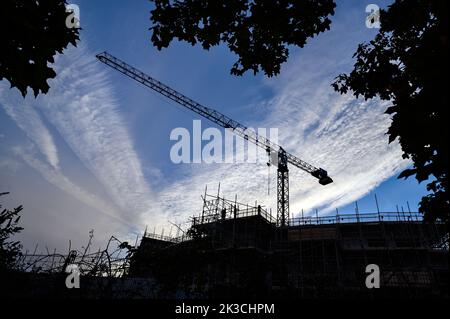 Silhouette d'une grue de construction sur un chantier. La grue est encadrée par des arbres et posée sur un fond de ciel bleu avec des nuages blancs. Banque D'Images