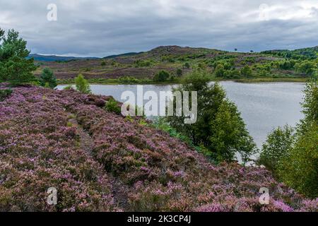 Loch Na Ba Ruaidhe, Kiltarlity, inverness shire, Royaume-Uni Banque D'Images