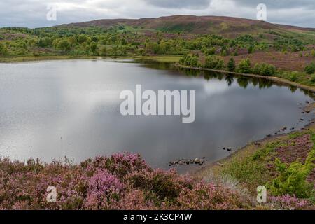 Loch Na Ba Ruaidhe, Kiltarlity, inverness shire, Royaume-Uni Banque D'Images