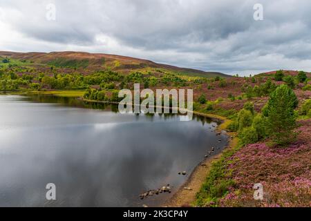 Loch Na Ba Ruaidhe, Kiltarlity, inverness shire, Royaume-Uni Banque D'Images