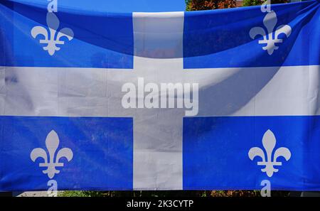 Un drapeau québécois aux fleurs de nénuphars blanches Banque D'Images