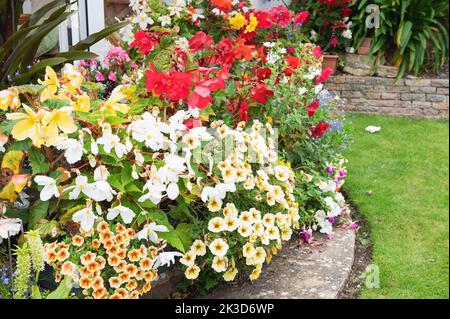 Superbes arrangements de fleurs en pot dans le jardin, begonias rouge et jaune, pétunias jaunes, alliums pourpres et lobélias, foyer sélectif Banque D'Images