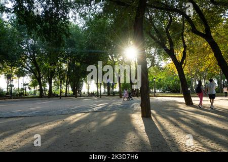 Madrid, Espagne, septembre 2022. Vue panoramique sur le parc de la Montaña dans le centre-ville Banque D'Images