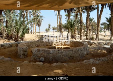 Le beau Prophète Moses Springs, puits d'eau et palmiers dans la péninsule du Sinaï, Ras Sidr, Égypte Banque D'Images