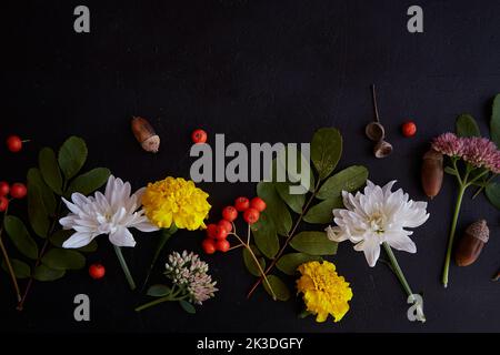 Fleurs d'automne : fond avec baies de rowan, acornes, marigold, chrysanthème sur fond noir Banque D'Images