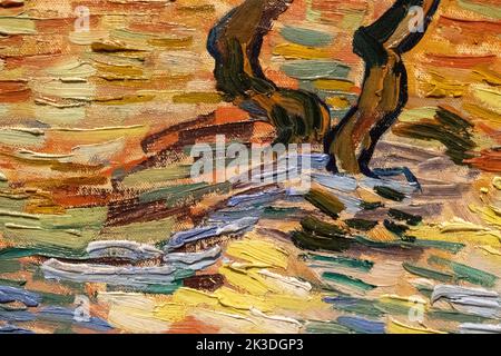 Détail de la peinture des oliviers par Vincent van Gogh à la Galerie nationale d'Écosse Banque D'Images