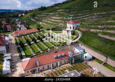 Radebeul, Allemagne. 26th septembre 2022. Les passants traversent à pied les jardins baroques de la cave de vinification Saxon Schloss Wackerbarth avec le Belvédère et les vignobles historiques. (Vue aérienne avec un drone) Credit: Sebastian Kahnert/dpa/Alay Live News Banque D'Images