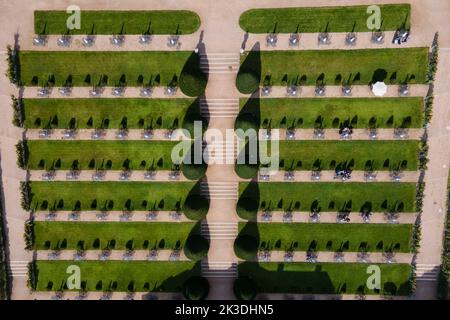 Radebeul, Allemagne. 26th septembre 2022. Passants assis dans le domaine baroque de la cave de vinification Saxon Schloss Wackerbarth. (Vue aérienne avec un drone) Credit: Sebastian Kahnert/dpa/Alay Live News Banque D'Images