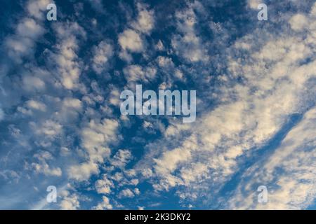 Août soir ciel rempli de cloudlets Cirrocumulus et ciel bleu Banque D'Images