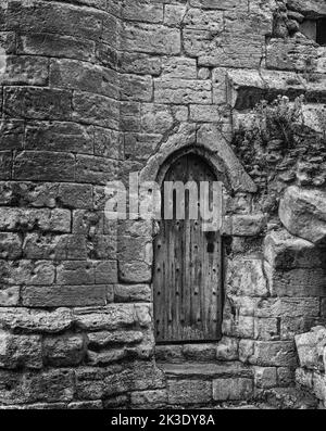 Une ancienne porte en bois est située dans la pierre d'un château du 12th siècle. La pierre est piqué et abîmé et des fleurs sauvages poussent sur les murs. Banque D'Images