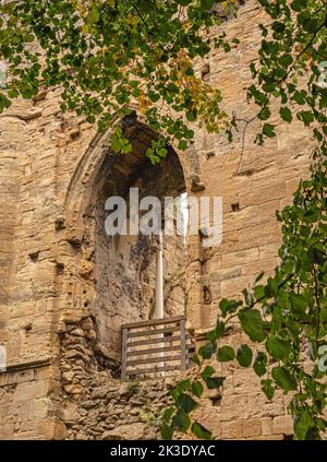 Une fenêtre voûtée dans la ruine d'un château de 12th siècle est vue à travers les feuilles d'un arbre. Une clôture se trouve dans la fenêtre. Banque D'Images