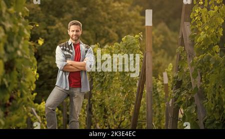 propriétaire d'un vignoble situé dans un domaine viticole, au milieu d'une ferme de raisin, d'un espace de copie, d'un viticulteur Banque D'Images