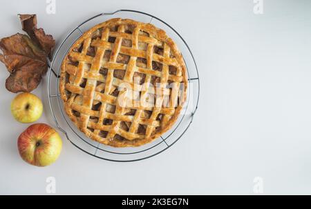 Tarte aux pommes fraîchement cuite sur fond métallique et crème, décorée de pommes et de feuilles séchées. Copier l'espace. Banque D'Images