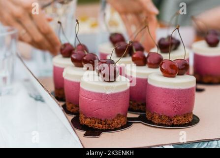 Délicieux petits gâteaux roses avec glaçage blanc et cerise rouge sur le dessus avec une base de chocolat. Banque D'Images