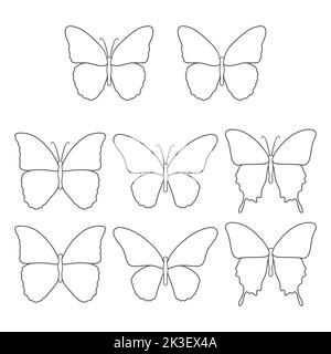 Jeu d'illustrations en noir et blanc avec un papillon. Objets vectoriels isolés sur fond blanc. Illustration de Vecteur