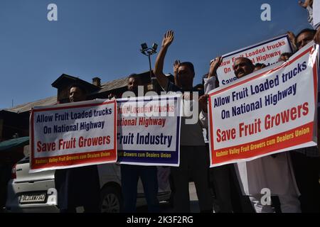 Srinagar, Inde. 26th septembre 2022. Des membres de l'Association des producteurs de fruits de la vallée du Cachemire ont protesté des slogans lors d'une manifestation à Srinagar, la capitale estivale du Cachemire indien. Les producteurs de fruits de la vallée du Cachemire protestent contre les autorités pour avoir allégué l'arrêt de leurs camions chargés de fruits le long de l'autoroute Jammu-Srinagar, longue de 270 kilomètres, en Inde, le 26 septembre 2022. (Photo de Mubashir Hassan/Pacific Press/Sipa USA) crédit: SIPA USA/Alay Live News Banque D'Images