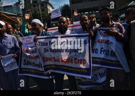 Srinagar, Inde. 26th septembre 2022. Des membres de l'Association des producteurs de fruits de la vallée du Cachemire ont protesté des slogans lors d'une manifestation à Srinagar, la capitale estivale du Cachemire indien. Les producteurs de fruits de la vallée du Cachemire protestent contre les autorités pour avoir allégué l'arrêt de leurs camions chargés de fruits le long de l'autoroute Jammu-Srinagar, longue de 270 kilomètres, en Inde, le 26 septembre 2022. (Photo de Mubashir Hassan/Pacific Press/Sipa USA) crédit: SIPA USA/Alay Live News Banque D'Images