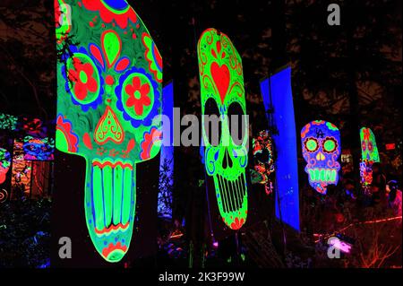 Vue nocturne de la décoration d'Halloween dans l'avenue Alegria à Sierra Madre, Californie Banque D'Images